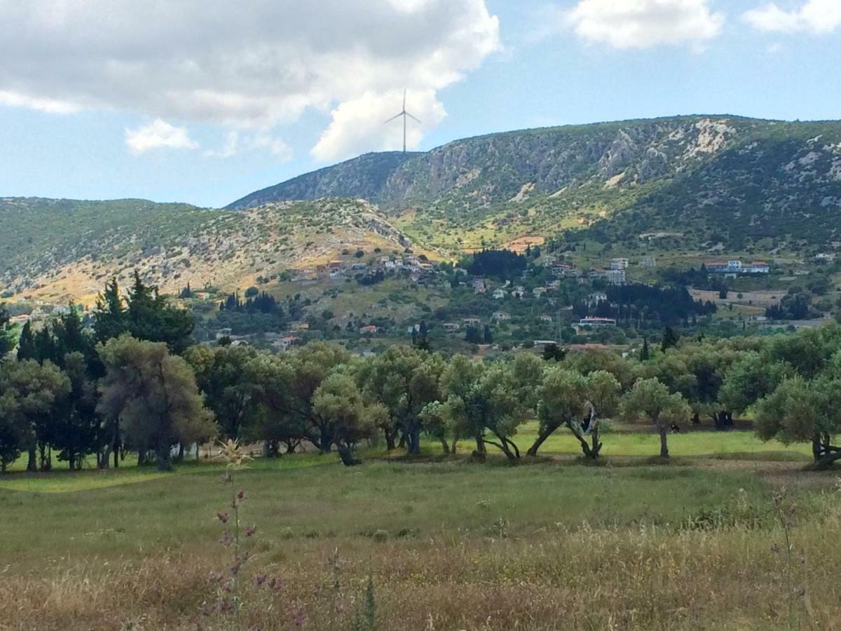 Zeytinli Konak Bed and Breakfast Σμύρνη Εξωτερικό φωτογραφία